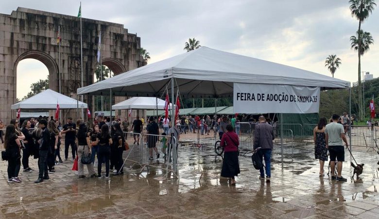 Studio Notícias | Studio TV Feira de adoção termina com mais de 200 animais levados para casa em POA