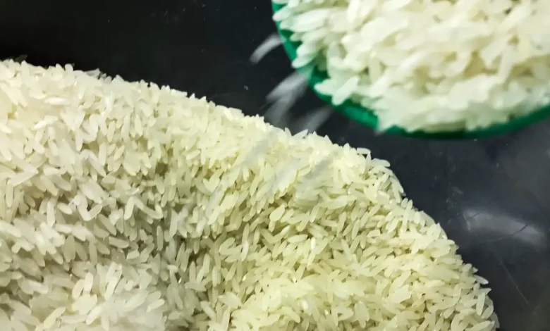 Studio Notícias | Studio TV Arroz: governo, indústria e produtor fazem acordo para monitorar preço