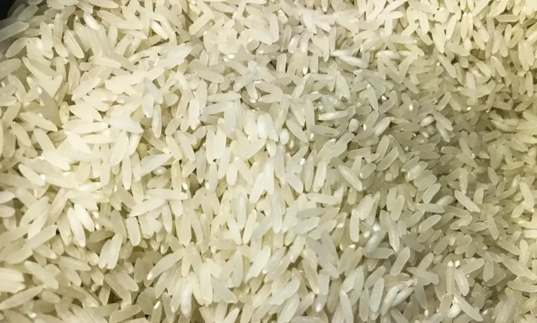 Studio Notícias | Studio TV Conab compra 263,3 mil toneladas de arroz importado em leilão
