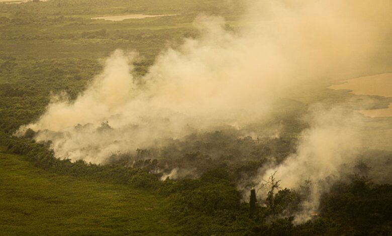 Studio Notícias | Studio TV FAB faz três voos hoje sobre o Pantanal para combate às queimadas