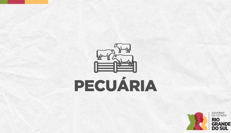 Studio Notícias | Studio TV Prazo para Declaração Anual de Rebanho termina na quarta-feira (31)