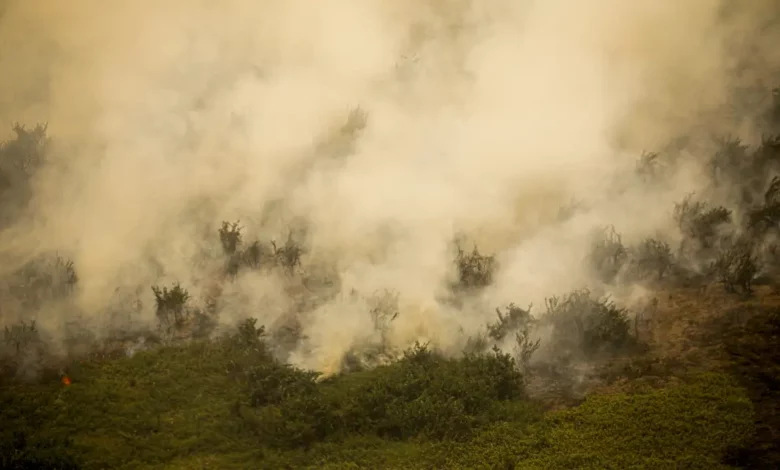 Studio Notícias | Studio TV Pantanal tem este ano maior área queimada em junho