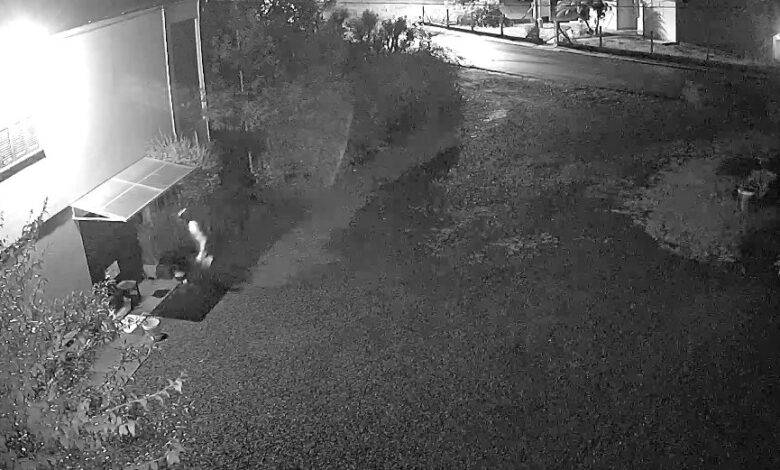 Studio Notícias | Studio TV Tentativa de homicídio em Vespasiano Corrêa: suspeito é detido após agredir idosos e filha