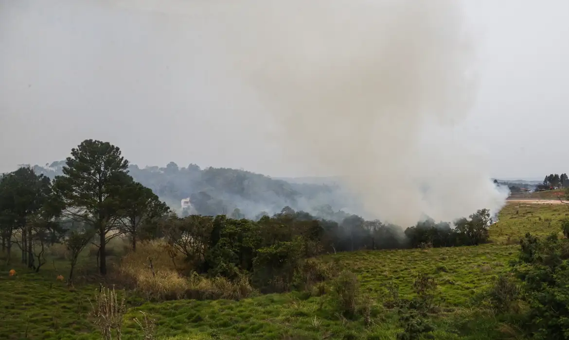 Com 46 cidades em alerta, SP reforça ações para combate aos incêndios 1 Studio Notícias | Studio TV Com 46 cidades em alerta, SP reforça ações para combate aos incêndios