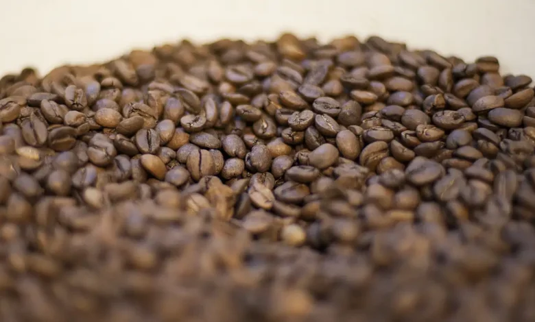 Studio Notícias | Studio TV Agricultura manda recolher 16 marcas de cafés impróprios para consumo