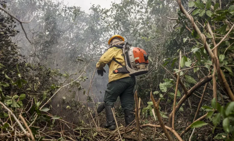 Studio Notícias | Studio TV Dino manda governo ampliar combate ao fogo na Amazônia e no Pantanal