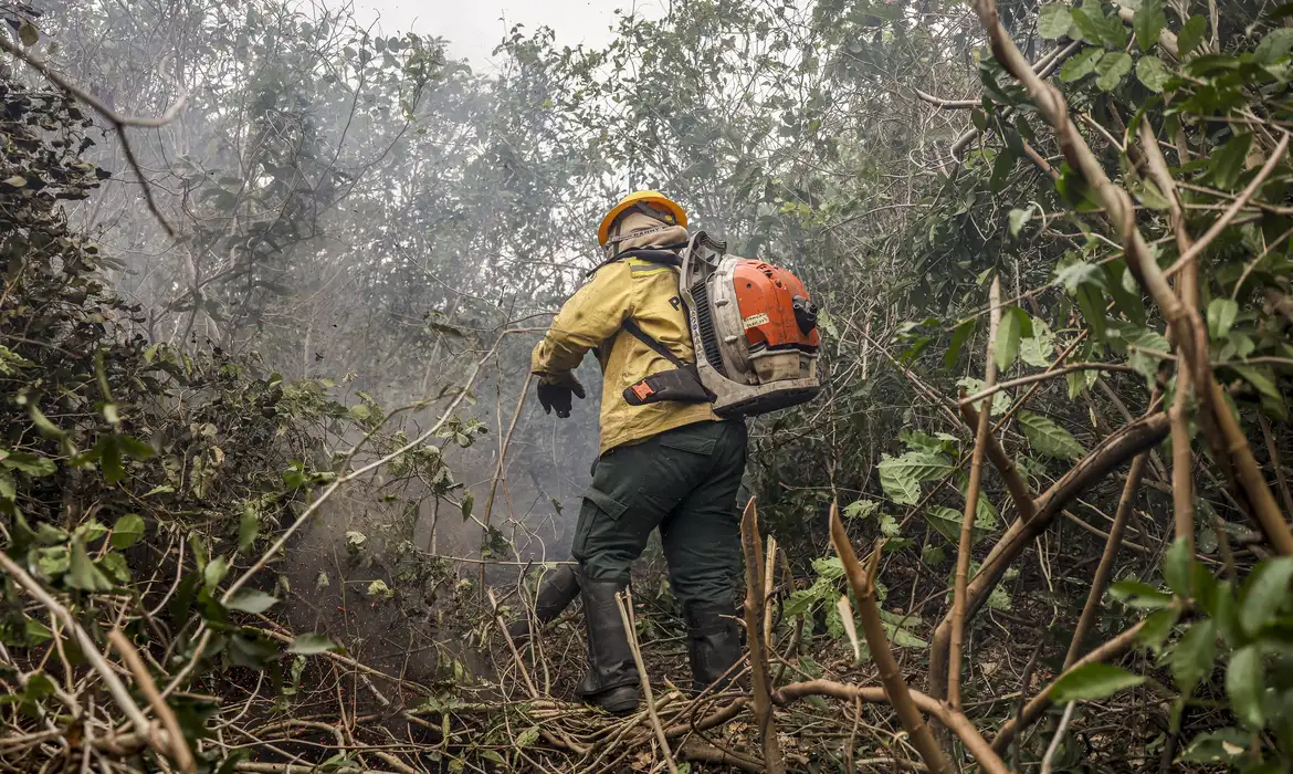 Dino manda governo ampliar combate ao fogo na Amazônia e no Pantanal 1 Studio Notícias | Studio TV Dino manda governo ampliar combate ao fogo na Amazônia e no Pantanal