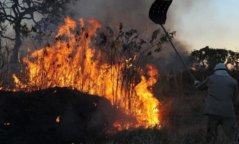 Studio Notícias | Studio TV Brasil tem aumento de 107% nos focos de incêndios florestais