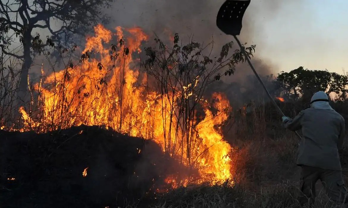 Brasil tem aumento de 107% nos focos de incêndios florestais 1 Studio Notícias | Studio TV Brasil tem aumento de 107% nos focos de incêndios florestais