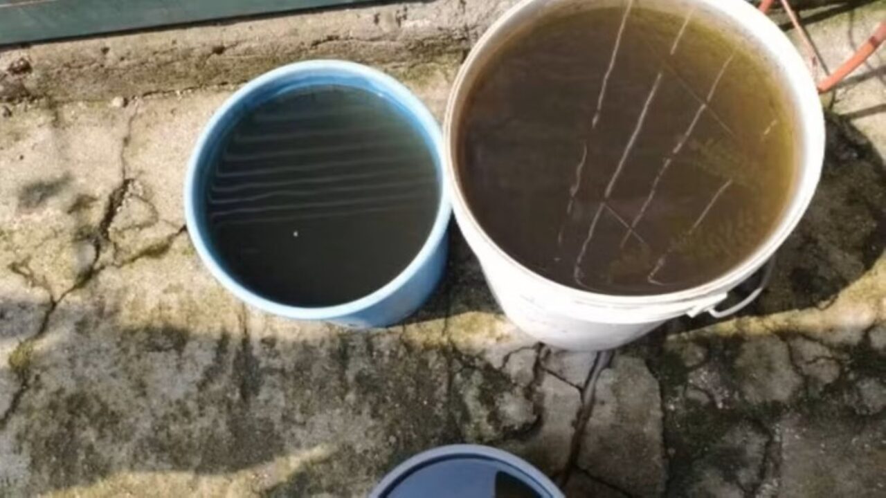Água de "chuva preta" com fuligem é considerada imprópria para uso, aponta pesquisa 1 Studio Notícias | Studio TV Água de "chuva preta" com fuligem é considerada imprópria para uso, aponta pesquisa