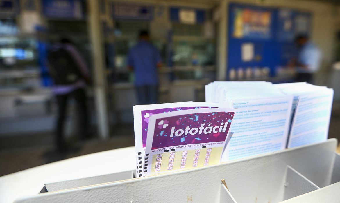 Lotofácil da Independência: 86 apostas vão dividir R$ 206 milhões 1 Studio Notícias | Studio TV Lotofácil da Independência: 86 apostas vão dividir R$ 206 milhões