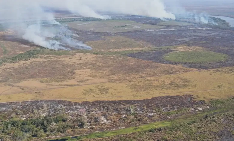 Studio Notícias | Studio TV Emissão de gases por incêndios é recorde em dois estados