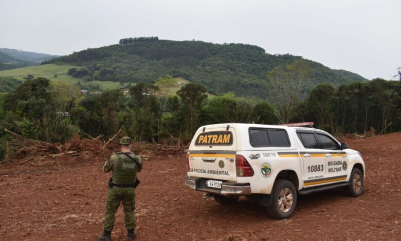 Studio Notícias | Studio TV Brigada Militar flagra crime contra a flora no município de Erechim