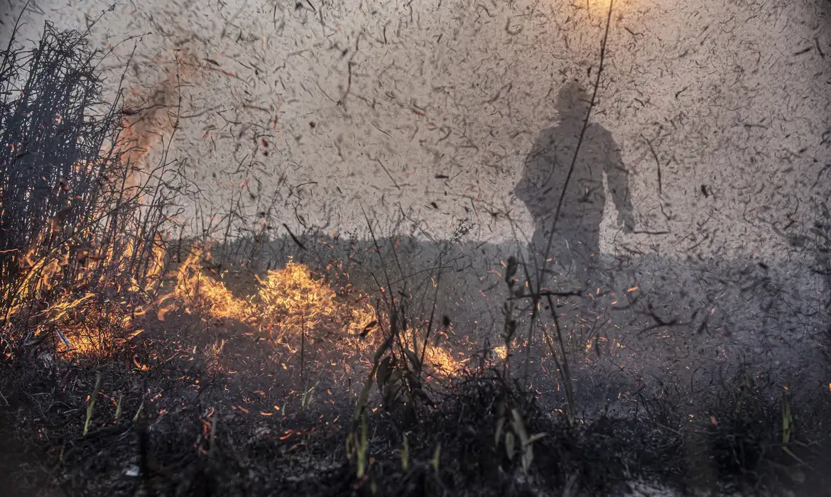 Focos de incêndios no Brasil já são 76% maiores que em 2023 1 Studio Notícias | Studio TV Focos de incêndios no Brasil já são 76% maiores que em 2023