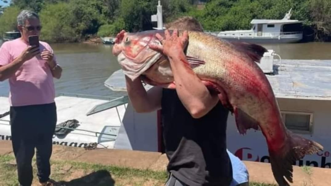 Studio Notícias | Studio TV Pescadores capturam carpa de 56 kg no Rio Caí e atraem curiosos no porto de Montenegro
