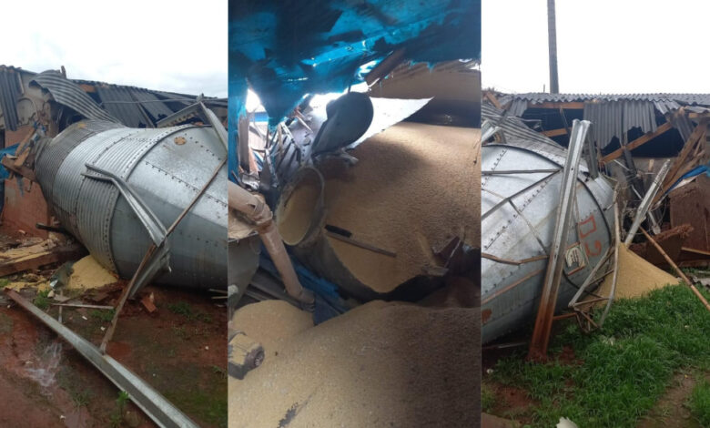 Studio Notícias | Studio TV Vendaval causa queda de silo com 20 toneladas e destrói aviário em SC