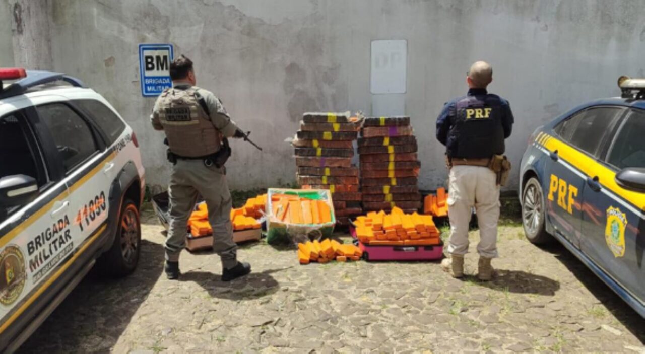 Polícia apreende 552 kg de maconha em operação conjunta em Torres 1 Studio Notícias | Studio TV Polícia apreende 552 kg de maconha em operação conjunta em Torres