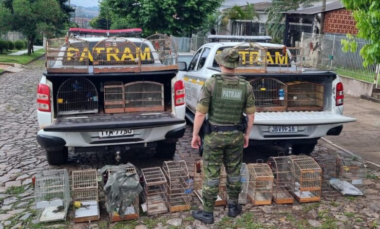 Studio Notícias | Studio TV Homem é detido, pela Brigada Militar, por manter pássaros silvestres em cativeiro em Cruz Alta