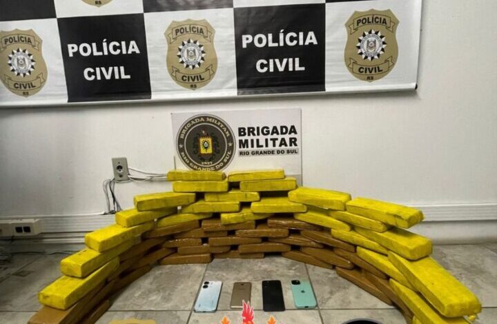 Studio Notícias | Studio TV Forças de Segurança realizam maior apreensão de maconha da história de São Marcos