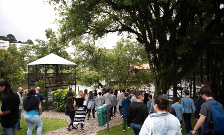Studio Notícias | Studio TV Zoológico da UCS reabre após três anos e integra programa de educação ambiental