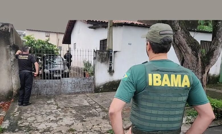 Studio Notícias | Studio TV Operação da PF e Ibama apreende 33 animais em posse de traficantes