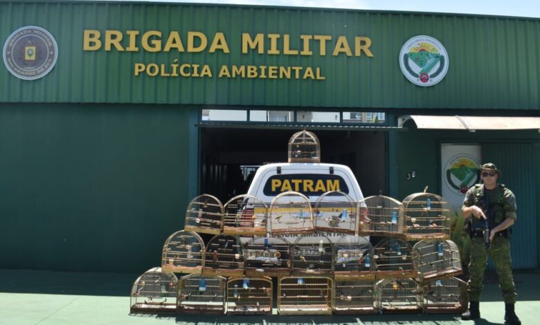 Studio Notícias | Studio TV Brigada Militar flagra pássaros silvestres mantidos em cativeiro em Erechim
