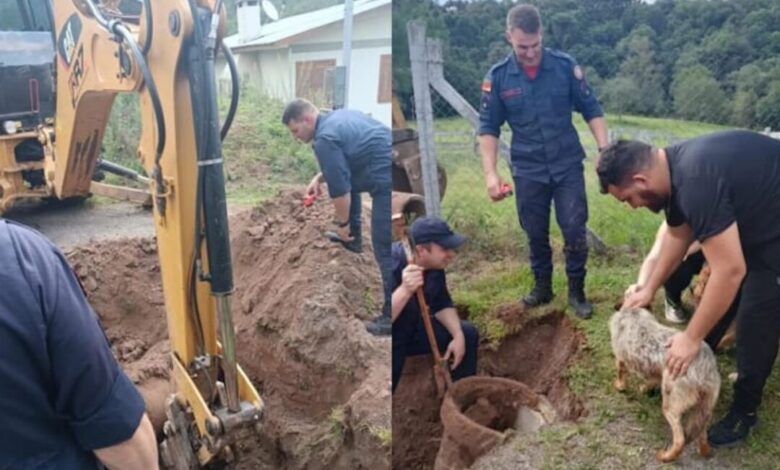 Studio Notícias | Studio TV Bombeiros de Veranópolis resgatam cachorro preso em tubulação no interior do município