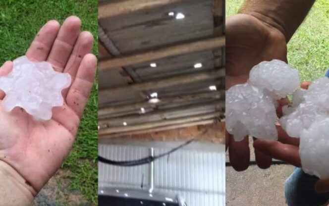 Studio Notícias | Studio TV Temporal com granizo causa destruição e deixa moradores sem energia em Pelotas