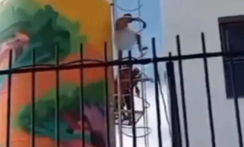 Studio Notícias | Studio TV Homem invade escola sem roupas e causa tumulto em São Leopoldo