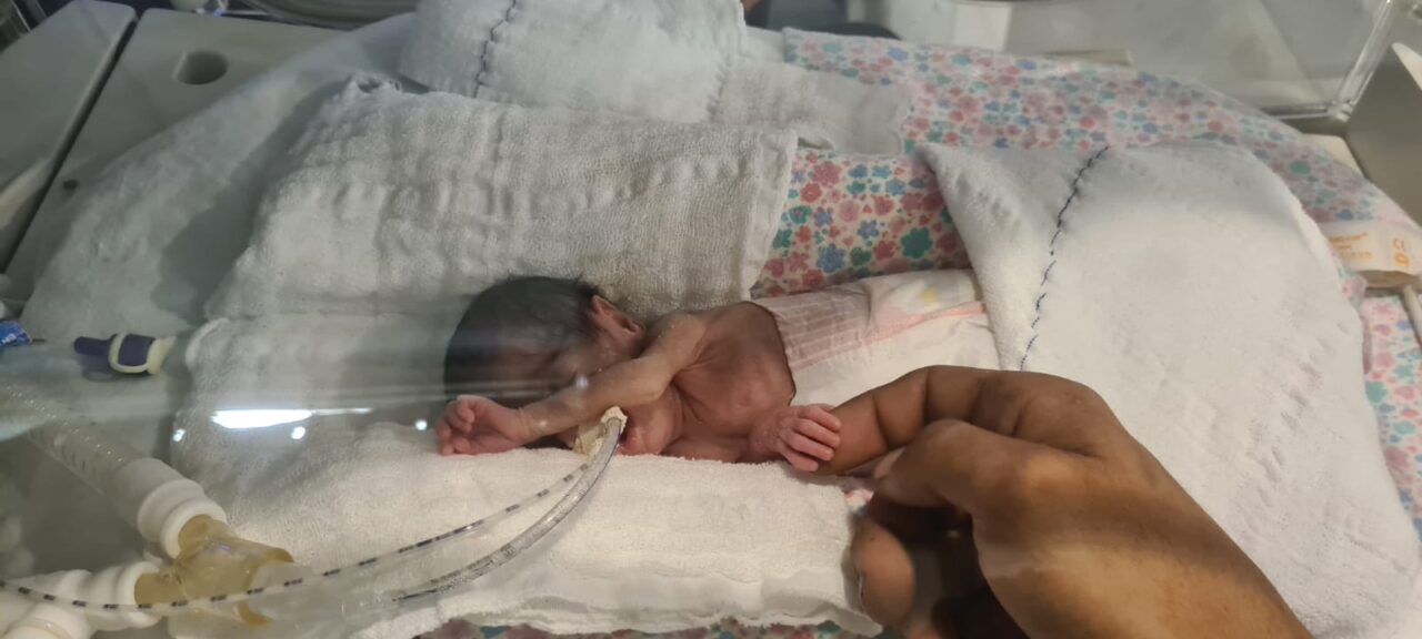 Bebê com menor peso já nascido no Hospital de Clínicas recebe alta após quatro meses de luta 1 Studio Notícias | Studio TV Bebê com menor peso já nascido no Hospital de Clínicas recebe alta após quatro meses de luta