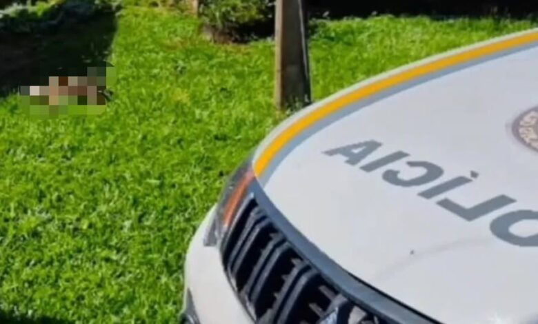 Studio Notícias | Studio TV Cachorro morre sem água e comida em Torres; tutor será responsabilizado