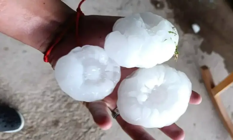 Studio Notícias | Studio TV Granizo gigante devasta plantações e causa transtornos na Argentina