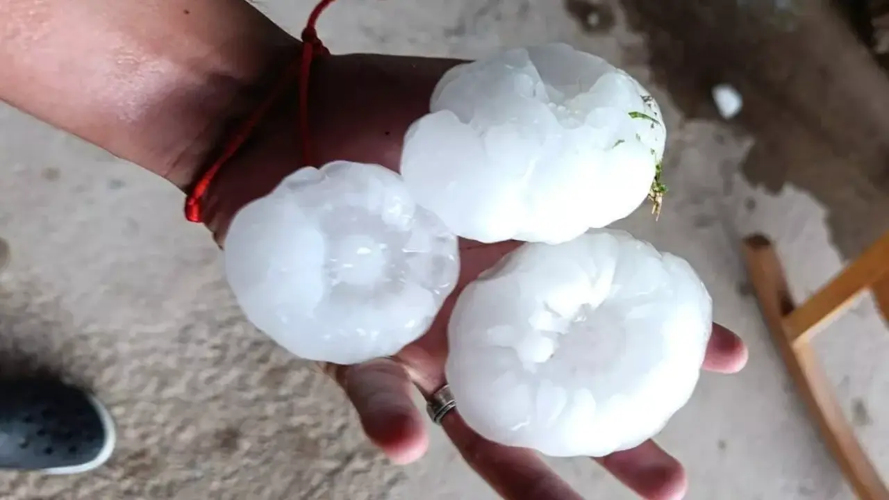 Granizo gigante devasta plantações e causa transtornos na Argentina 1 Studio Notícias | Studio TV Granizo gigante devasta plantações e causa transtornos na Argentina