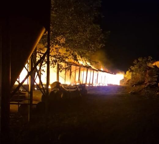 Studio Notícias | Studio TV Bombeiros combatem incêndio em aviário e evitam danos maiores em Dois Lajeados