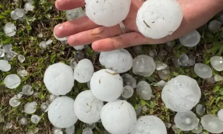 Studio Notícias | Studio TV Granizo gigante assusta moradores de Santa Catarina e acende alerta da Defesa Civil