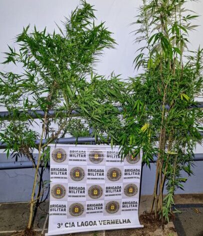 Studio Notícias | Studio TV Menor é apreendido por tráfico de drogas em Capão Bonito do Sul