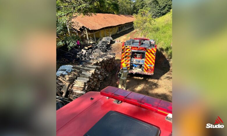 Studio Notícias | Studio TV Bombeiros de Veranópolis combatem incêndio em aviário no interior de Nova Araçá