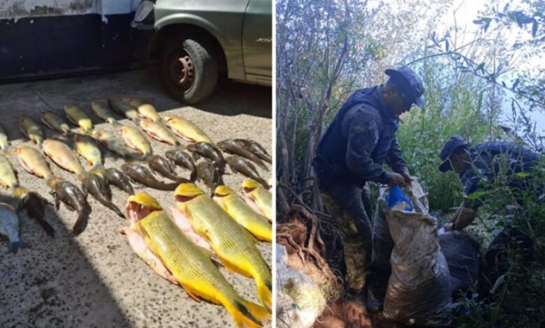 Studio Notícias | Studio TV Homem é preso por pesca ilegal em São Borja com mais de 68 kg de peixes apreendidos