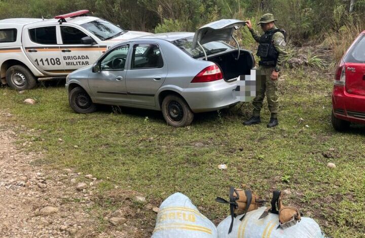 Studio Notícias | Studio TV Brigada Militar flagra coleta ilegal e apreende 120 kg de pinhão em Canela