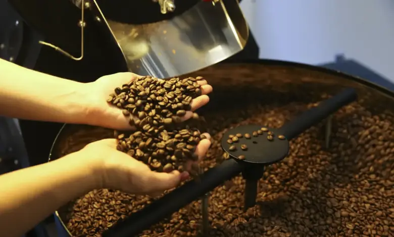 Studio Notícias | Studio TV Café: produção brasileira em 2025 está estimada em 3,2 milhões de toneladas, aponta IBGE