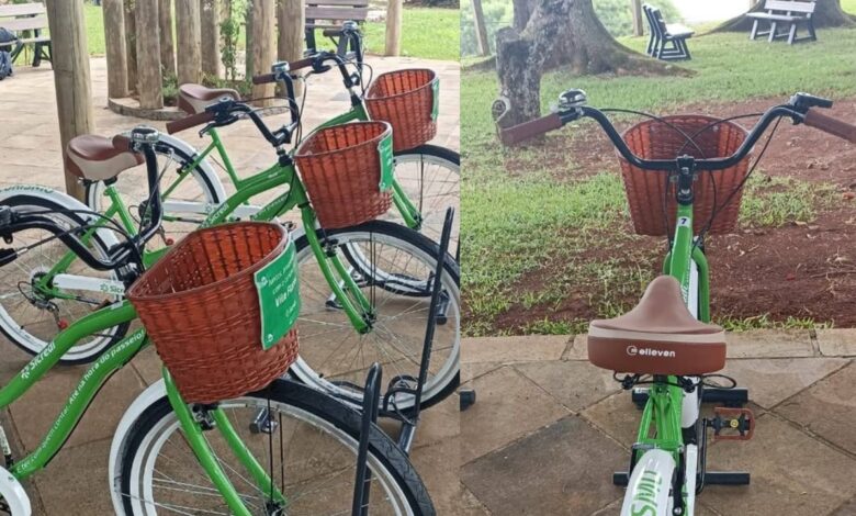 Studio Notícias | Studio TV Projeto turístico em Vila Flores oferece bicicletas retrô para visitantes