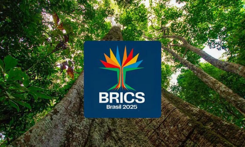 Studio Notícias | Studio TV Brics lança concurso para startups lideradas por mulheres