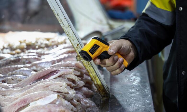 Studio Notícias | Studio TV Operação no Mercado Público de Porto Alegre combate irregularidades na venda de pescados