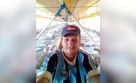 Studio Notícias | Studio TV Homem é assassinado com motosserra enquanto dormia no interior de Santa Catarina