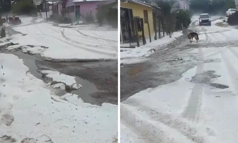 Studio Notícias | Studio TV Granizo transforma ruas da Serra Catarinense e surpreende moradores com paisagem branca neste sábado