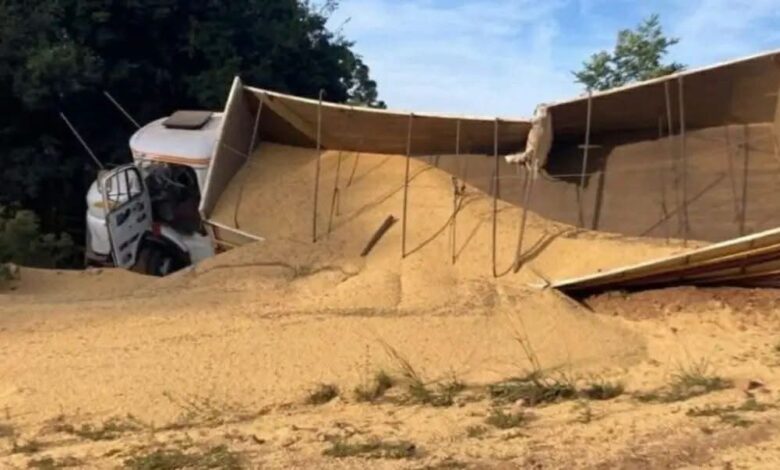 Studio Notícias | Studio TV Identificada vítima que morreu soterrada em carga de soja após acidente com caminhão no Norte do RS