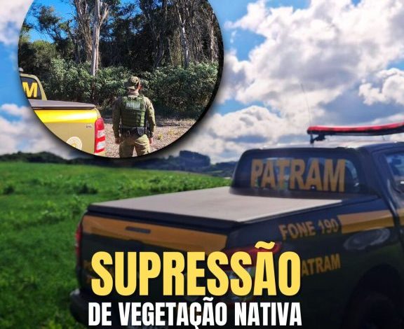 Studio Notícias | Studio TV Brigada Militar flagra desmatamento em Marau, Putinga e Espumoso