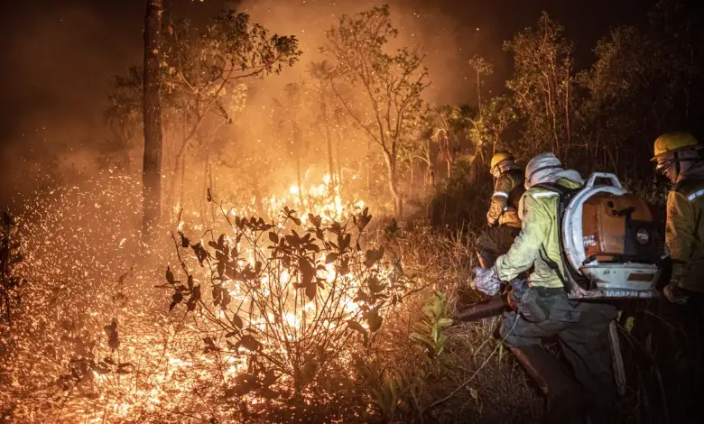 Studio Notícias | Studio TV STF permite desapropriação de terra por incêndio ilegal e desmatamento