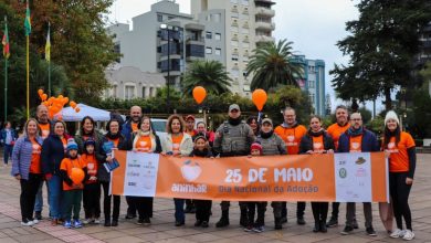 Studio Notícias | Studio TV Aninhar o Amor: Veranópolis celebra o Dia Nacional da Adoção com ações solidárias e de conscientização