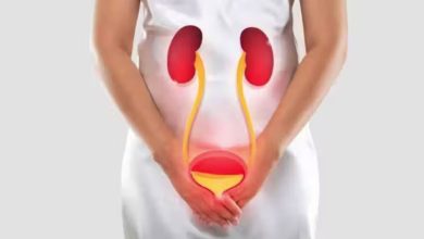 Studio Notícias | Studio TV Aprovado novo antibiótico oral para infecções urinárias recorrentes após 30 anos
